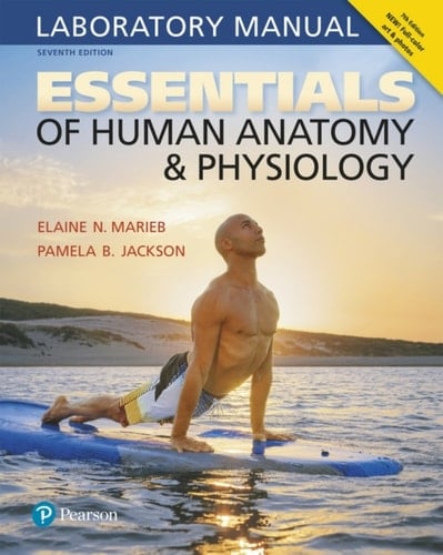 Essentials of Human Anatomy & Physiology Laboratory Manual (Pearson+)