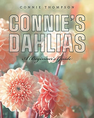 Connie's Dahlias A Beginner's Guide