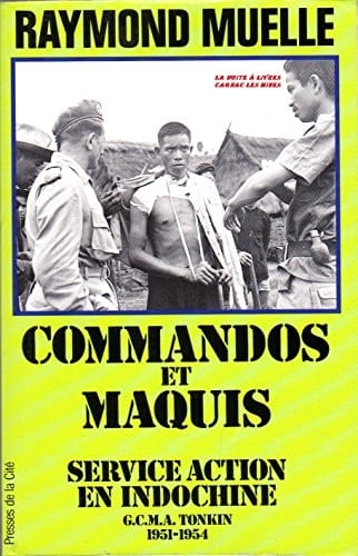 Commandos et maquis service action en Indochine : GMCA Tonkin, 1951-1954