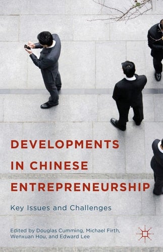 Developments in Chinese Entrepreneurship Key Issues and Challenges