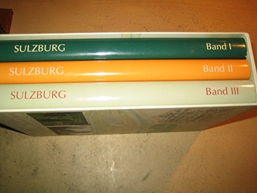 Geschichte der Stadt Sulzburg: Bemerkungen zur frühen Geschichte und zur frühen Neuzeit