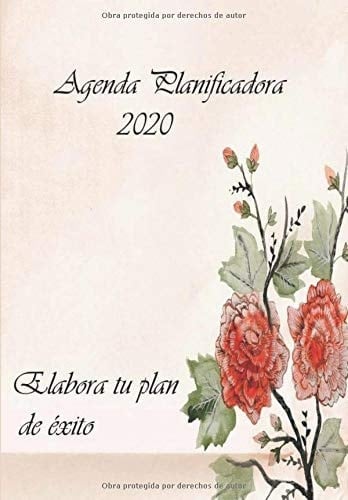 Plannig 2020: Agenda planificadora 2020 (Spanish Edition)