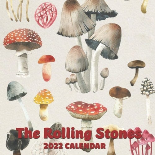Mushrooms Daily Calendar 2022 Monthly: January 2022 - December 2022 OFFICIAL Squared Monthly Calendar, 12 Months | BONUS 4 Months 2022