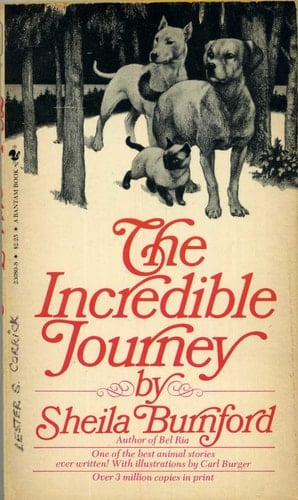 Incredible Journey