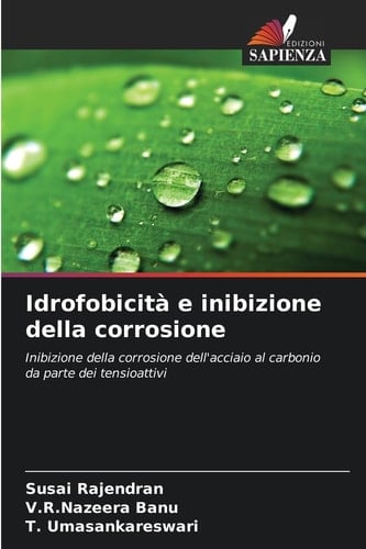 Idrofobicità e inibizione della corrosione (Italian Edition)