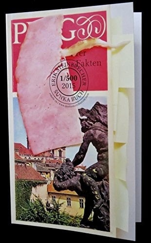 Erik Steinbrecher - šunka buch