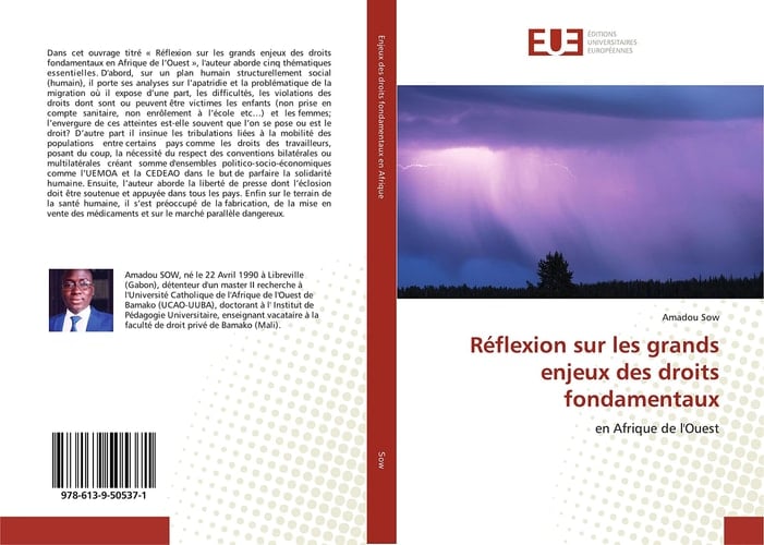 Réflexion sur les grands enjeux des droits fondamentaux: en Afrique de l'Ouest (French Edition)