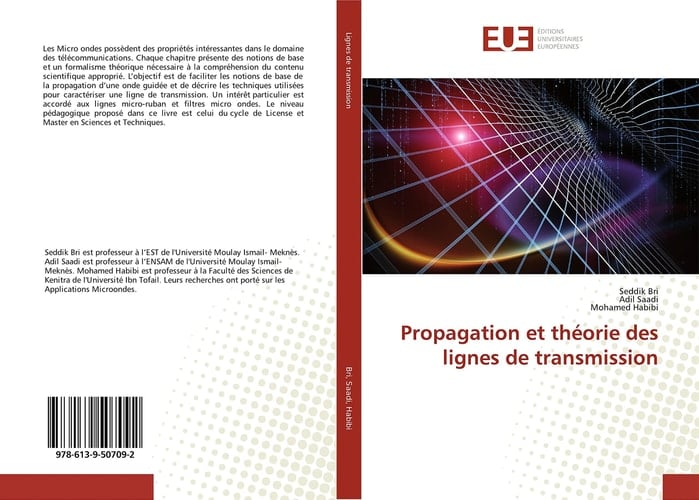Propagation et théorie des lignes de transmission (French Edition)