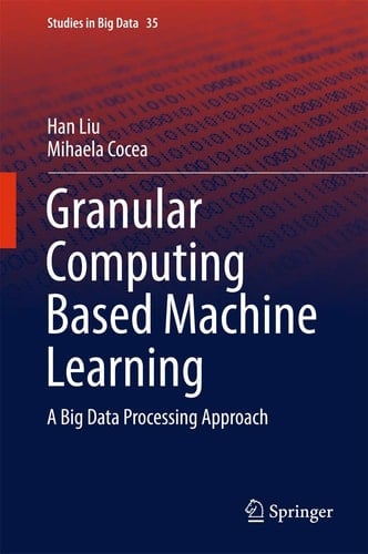 Granular Computing Based Machine Learning A Big Data Processing Approach