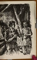 Where has the forest gone?