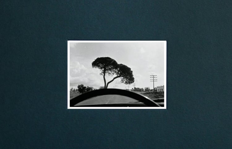 Pictures from Moving Cars