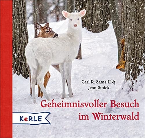 Geheimnisvoller Besuch im Winterwald