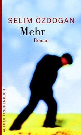 Mehr Roman