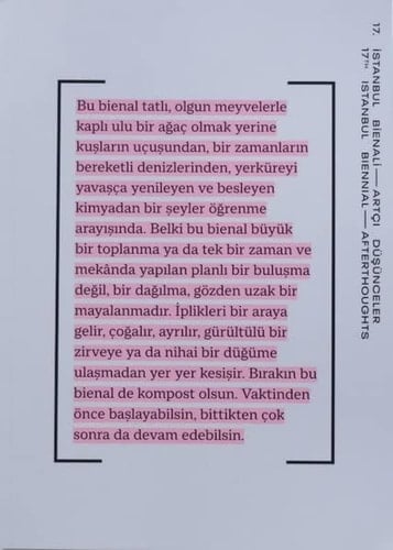 17. İstanbul Bienali--artçı düşünceler