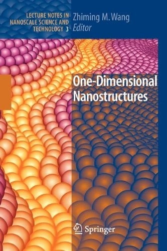One-Dimensional Nanostructures (LECTURES ON MATHEMATICS AND PHYSICS MATHEMATICS)