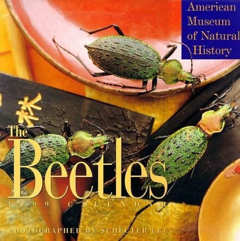 Beetles Calendar 1999