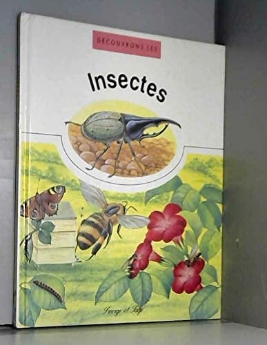 Découvrons les insectes