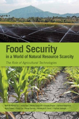 Food security in a world of natural resource scarcity The role of agricultural technologies