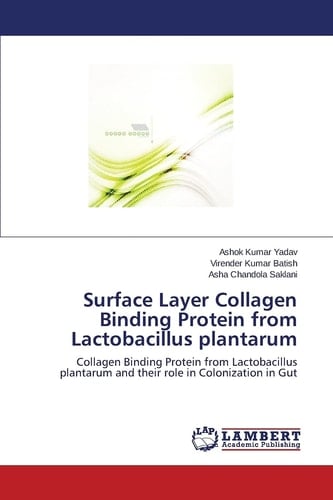Surface Layer Collagen Binding Protein from Lactobacillus Plantarum Collagen Binding Protein from Lactobacillus Plantarum and Their Role in Colonization in Gut