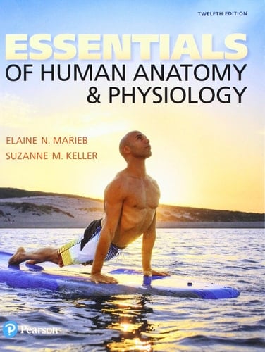 Essentials of Human Anatomy & Physiology and Modified Mastering A&P with Pearson eText -- ValuePack Access Card Package (12th Edition)