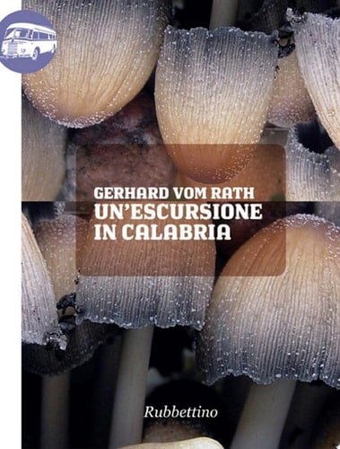 Un'escursione in Calabria