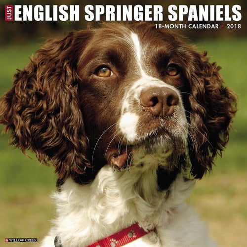 Just English Springer Spaniels 2018 Calendar