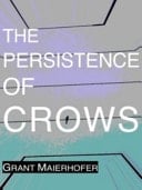 The Persistence of Crows A Novel