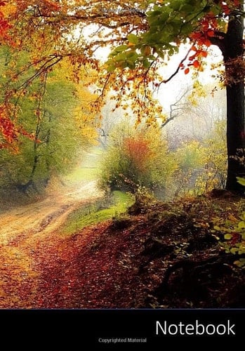 Notebook: Carnet de notes forêt enchantée | blanc | format A5