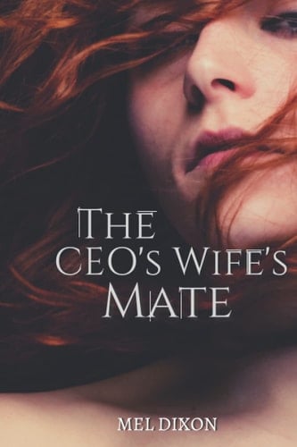 The CEO's Wife's Mate