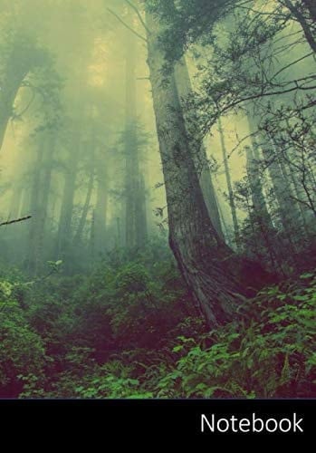 Notebook: Carnet de notes forêt enchantée | pointillé | format A5