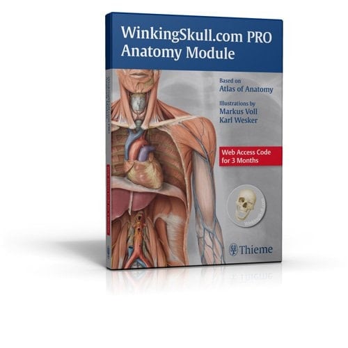 WinkingSkull.com PRO Anatomy Module 3 Month TRADE PKG