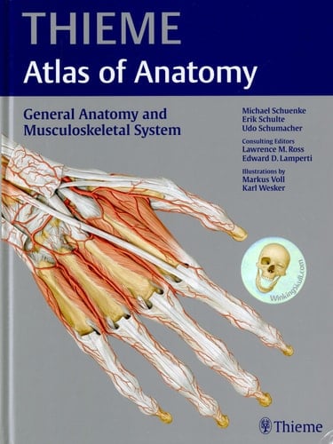 General Anatomy and Musculoskeletal System