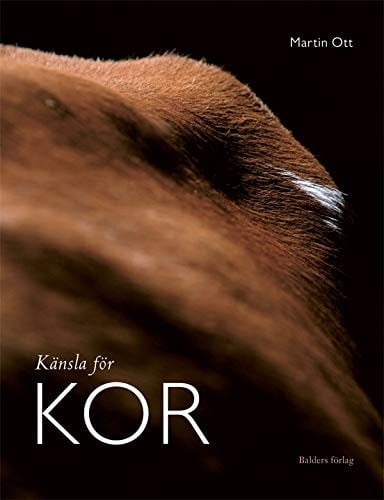 Känsla för kor ett nytt partnerskap tar sin början