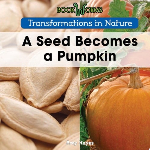 A Seed Becomes a Pumpkin