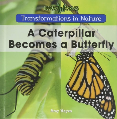 A Caterpillar Becomes a Butterfly