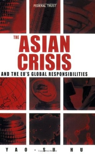 Asian Crisis and the EU's Global Responsibilities