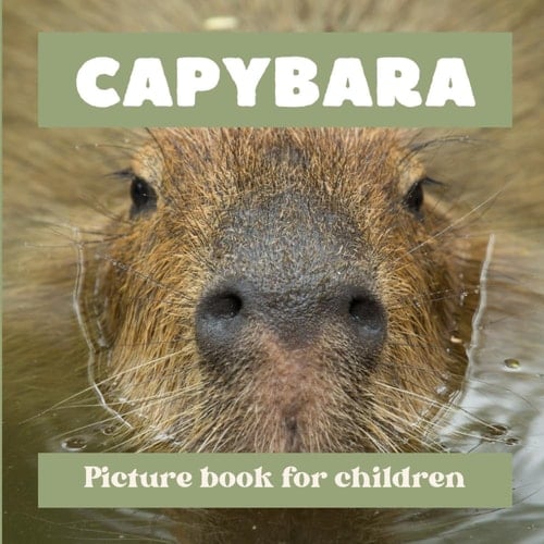 Capybara Picture Book for Children