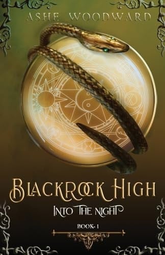 Blackrock High Into the Night (The Blackrock High Trilogy: Book One)