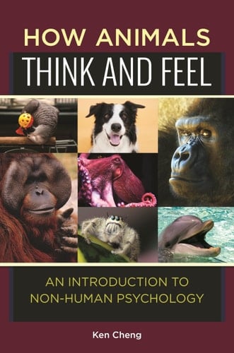 How Animals Think and Feel An Introduction to Non-Human Psychology