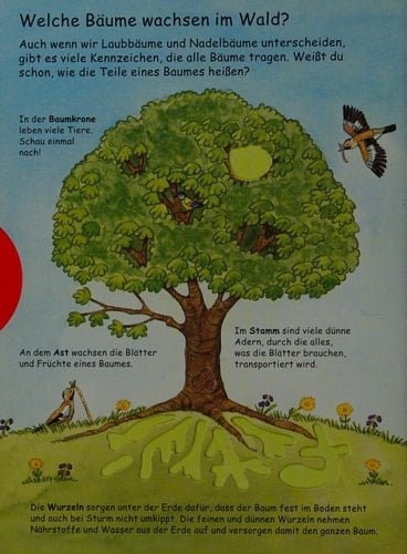 Mein erstes Buch vom Wald