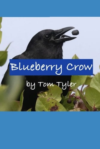 Blueberry Crow