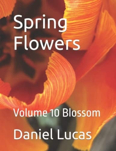 Spring Flowers: Volume 10 Blossom