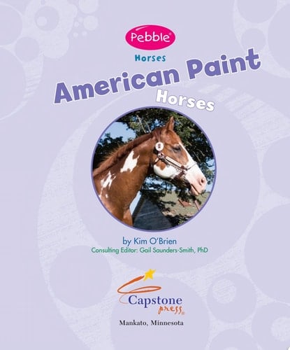 American Paint Horses