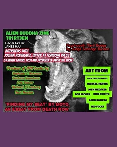 Alien Buddha Zine T#1rt3en