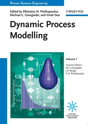Dynamic Process Modeling