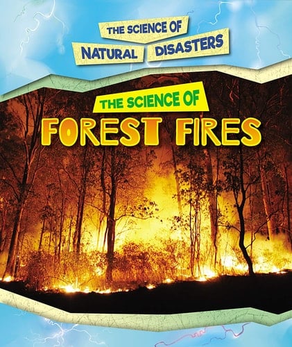 The Science of Forest Fires