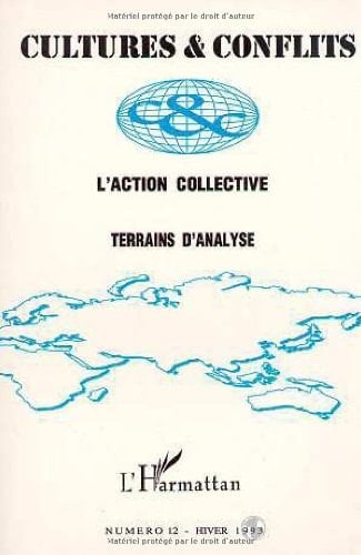 L'action collective terrains d'analyse