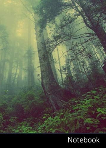 Notebook: Petit carnet de notes forêt enchantée | pointillé | format A6