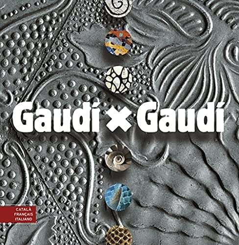 Gaudi X Gaudi French Edition