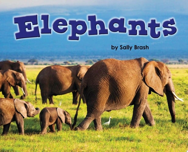 Elephants